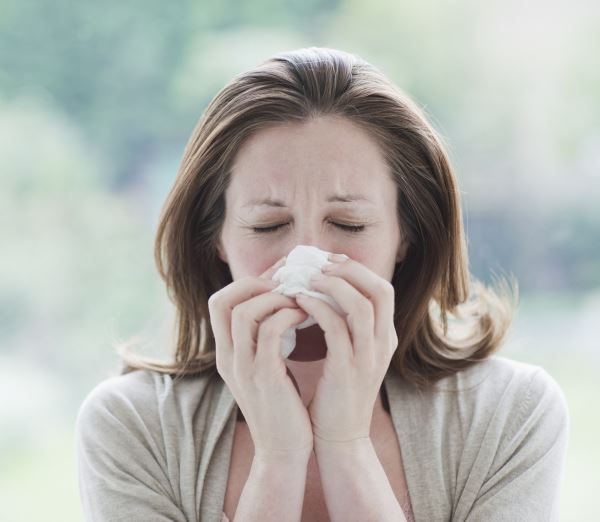 Лечение аллергии народными средствами: как победить недуг самостоятельно